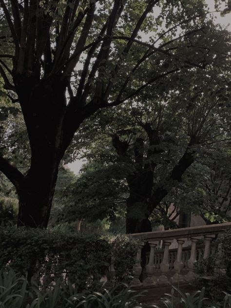 Gloomy Garden Aesthetic, Grunge Garden Aesthetic, Mysterious Garden Aesthetic, Dark Academia Garden Aesthetic, Dark Academia Courtyard, Garden Gothic Aesthetic, Haunted Garden Aesthetic, Old Garden Aesthetic, Dark Manor Aesthetic