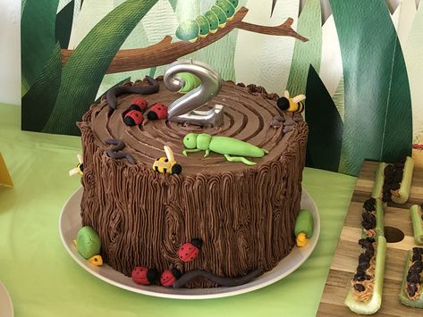 Bug Theme Birthday Cake, Insect Cakes For Boys, Insect Theme Cake, Bug Theme Cake, Reptile Themed Birthday Cake, Bug Smash Cake, Bug Party Cake, Bugs Birthday Cake, Insect Cake Ideas