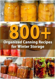 800+ Organized Canning Recipes for Winter Storage Recipes For Winter, Canning 101, Canning Fruit, Home Canning Recipes, Canning Vegetables, Canning Food Preservation, Canned Food Storage, Canning Tips, Canned Goods