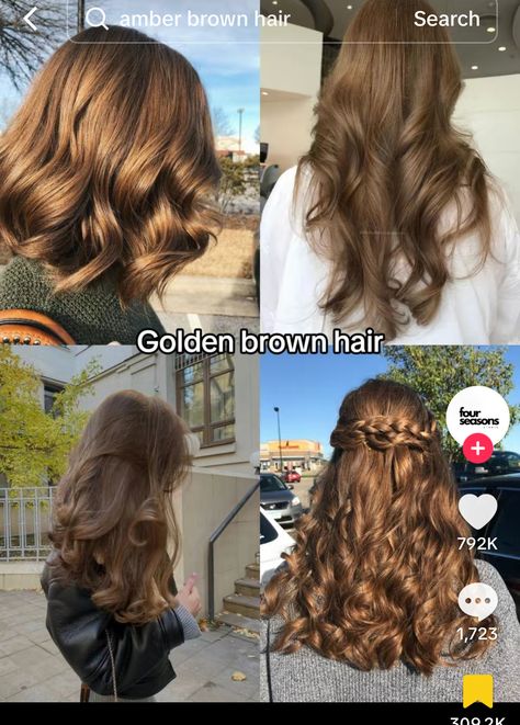 Hair Shades Of Brown, Golden Brunette Hair Color, Natural Brown Hair Color Ideas, Short Golden Brown Hair, Golden Brown Hair Colors, Shades Of Brown Hair, Golden Brown Hair Color, Golden Brown Hair, Brown Hair Shades