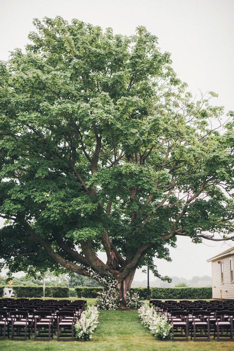 Wedding In Front Of Tree, Wedding Ceremony Under A Tree, Ceremony In Front Of Tree, Tree Wedding Ceremony Flowers, Wedding Ceremony In Front Of Tree, Wedding Under Oak Tree Outdoor Ceremony, Wedding Tree Planting Ceremony, Oak Tree Wedding Ceremony, Tree Wedding Ceremony