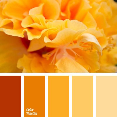 The shades of orange that run smoothly into the shades of sunny yellow will brighten dull gray days of late city autumn. Use these colors in your wardrobe. In Color Balance, Color Palette Ideas, Wall Living Room, Orange Color Palettes, Warm Palette, Palette Ideas, Color Palate, Design Seeds, Color Balance