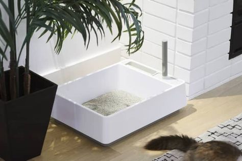 Cat Furniture Brand Tuft and Paw Is Making Litter Boxes Easy-to-Clean and Even Beautiful Litter Box Solutions, Human Furniture, Luxury Cat, Homemade Cat, Bill Murray, Cat Ideas, Cat Parenting, Pet Ideas, Cat Beds