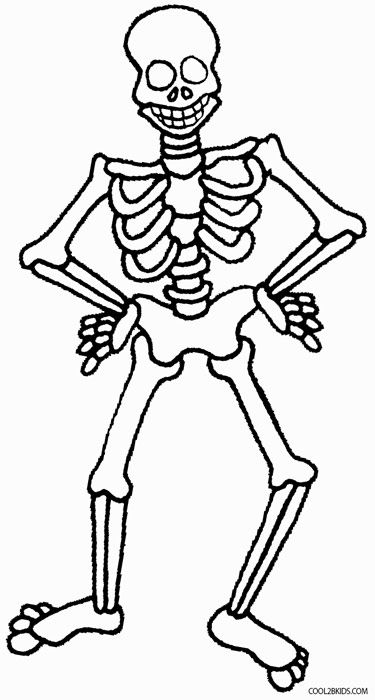 Printable Skeleton Coloring Pages For Kids | Cool2bKids Free Skeleton Printables, Positive Notes For Kids, Coloring Book Drawings, Skeleton For Kids, Skeleton Coloring Pages, Fun Anatomy, Skeleton Printable, Body Parts Preschool Activities, Anatomy Coloring