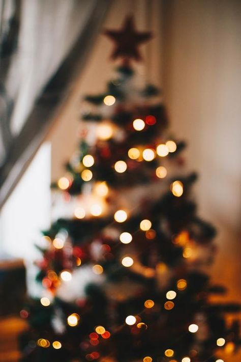 Štědrý Den, December Wallpaper, Christmas Wallpaper Free, Christmas Tree Wallpaper, Christmas Playlist, Xmas Wallpaper, Christmas Wallpaper Backgrounds, Christmas Phone Wallpaper, Cute Christmas Wallpaper