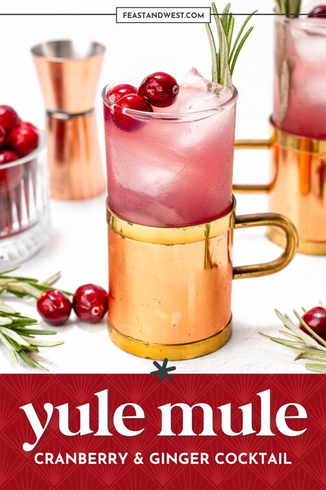 Based on the traditional Moscow Mule, the Yule Mule is a holiday Moscow Mule cocktail featuring ginger beer and cranberries. Tastes just like Christmas! Yule Mule Holiday Cocktails, Spiced Cranberry Mule, Moscow Mules For A Crowd, Cranberry Moscow Mule Recipe For A Crowd, Festive Moscow Mule, Christmas Moscow Mule Pitcher, Grinch Moscow Mule, Different Mule Drinks, Christmas Mule Cocktail Pitcher