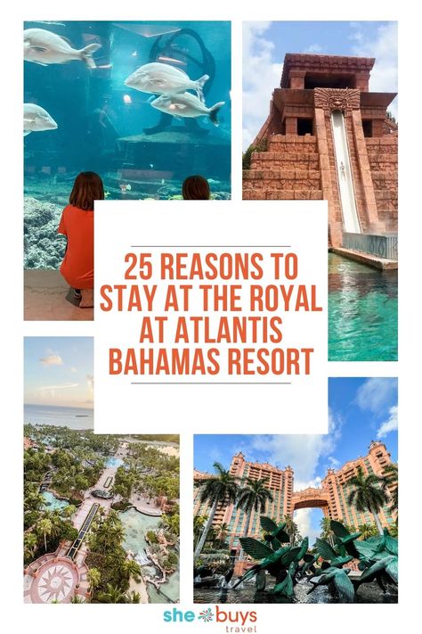 Discover the true luxury of a tropical getaway. The Royal at Atlantis Review will share all the reasons why you considered this resort. The Royal Atlantis Bahamas, Atlantis Resort Bahamas, International Packing List, Royal Atlantis, Bahamas Trip, Bahamas Resorts, Atlantis Bahamas, Reasons To Stay, Bahamas Travel