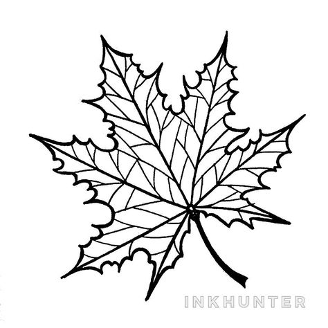 Hand Embroidery Stencils, Natural Motif Drawing, Autumn Journal, Line Flowers, Flower Stencils, Sewing Cross Stitch, Hand Lines, Digital Embroidery Patterns, Leaf Stencil