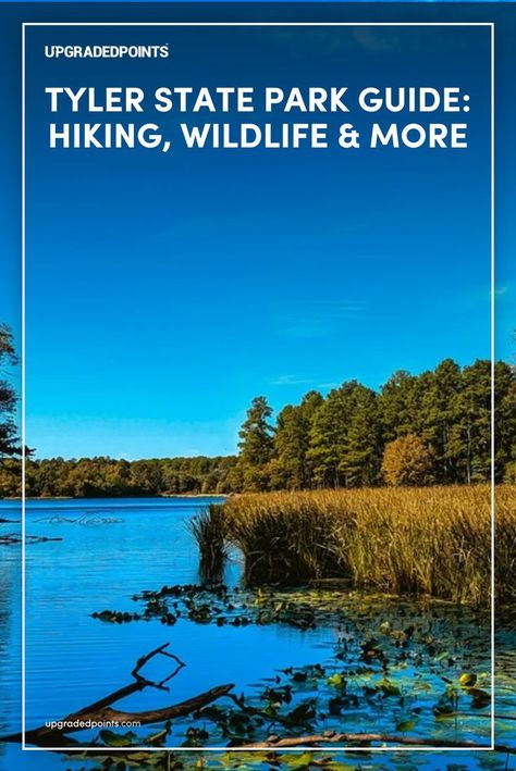 A peaceful lake surrounded by dense trees and tall marsh grasses at Tyler State Park, with clear blue skies reflecting on the calm water. Hiking In Texas, Camping In Texas, Texas State Parks, State Park Camping, Tyler Texas, Nature Lovers, Outdoor Adventures, Hiking Trails, State Park