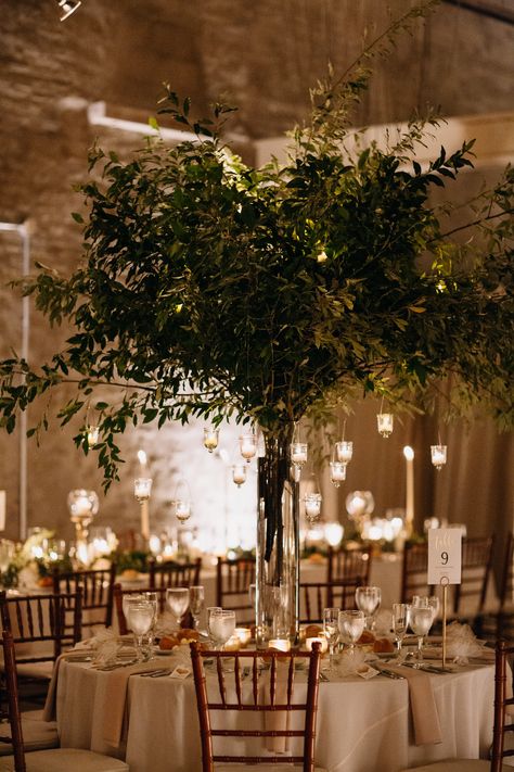 Tall green tree centerpieces with hanging candles for a summer wedding designed and created by Wild Stems at Front & Palmer in Philadelphia, PA. Venue is Front & Palmer. Catering by Feast Your Eyes. Lighting by Synergetic Sound, Inc. Photo by Julia Wade Photography. #weddingflorist #floraldesign #weddingcenterpiece #weddingflowers #philadelphiaweddings #philadelphiasummerwedding Tree Wedding Centerpieces, Tree Centerpieces, Enchanted Forest Wedding, Tree Table, Hanging Candles, Green Tree, Tree Wedding, Wedding Mood Board, Wedding Table Centerpieces