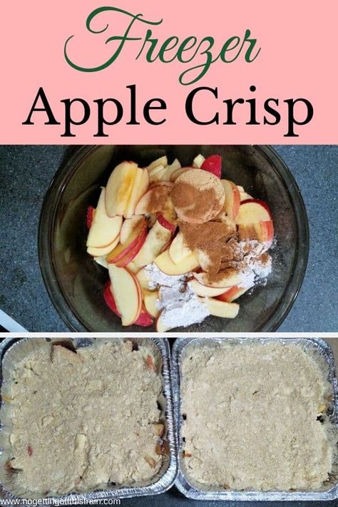 Have dessert ready in your freezer at all times with this Freezer Apple Crisp! Made with fresh apples and a delicious crumble topping! #freezermeal #dessert #recipe Freezer Apple Crisp, Crockpot Apple Crisp, Freezing Apples, Apple Recipes Easy, Yummy Healthy Breakfast, Easy Party Food, Apple Crisp Recipes, Easiest Apples, Crumble Topping