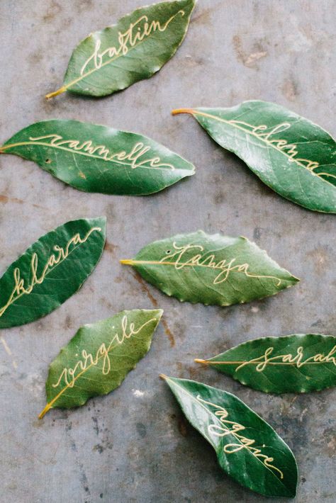 Garden Provence, Secret Garden Parties, Magnolia Leaf, Dinner Party Decorations, Secret Garden Wedding, Garden Party Decorations, Outdoor Wedding Inspiration, Garden Birthday, Professional Wear