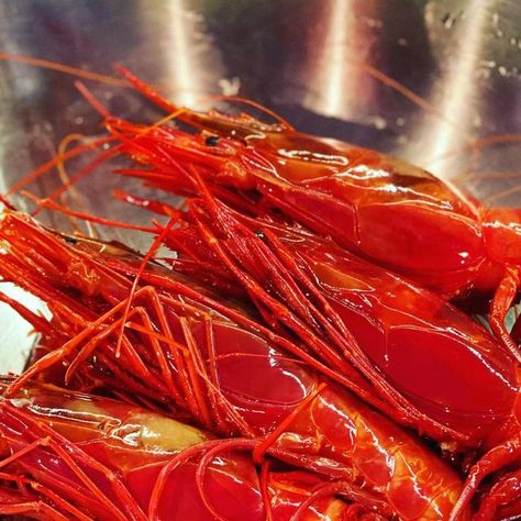 The Sundial on Instagram: "Getting ready for the grill are these striking and highly prized jumbo Mediterranean wild-caught Carabinero Prawns 🦐, a quintessential delicacy of the ocean. Scarlet in colour, these vibrant deep-sea Carabineros pack a full-bodied, robust flavour and are the most exquisite prawns you’ll ever taste. #thesundial #thesundialspace #privatewinekitchen #privatedining #privatediningsg #sgprivatedining #sgfoodies #sgfoodgram #privatekitchen #food #foodie #foodiesg #instafood Sea Club, Wine Kitchen, Private Dining, The Grill, Deep Sea, Getting Ready, Scarlet, The Ocean, Grilling