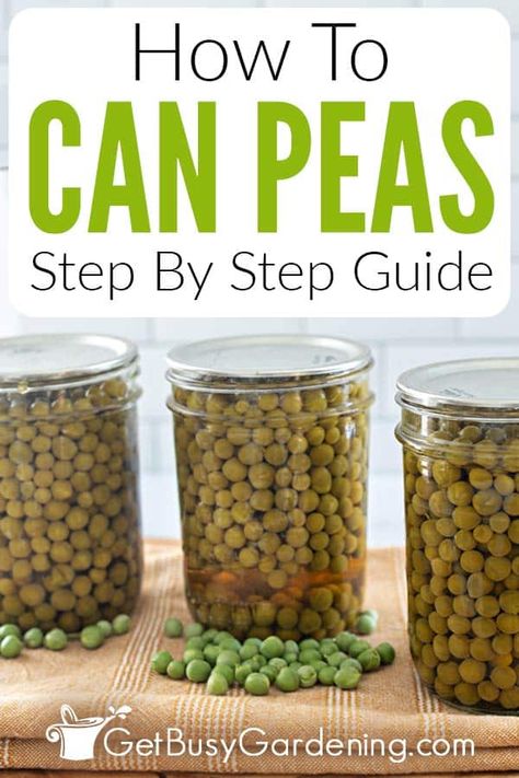 Canning Peas, Pressure Canner Recipes, Crowder Peas, Canned Peas, Canning Water, Fresh Peas, Pressure Canning Recipes, Canning Fruit, Home Canning Recipes