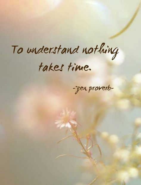 To understand nothing takes time. "To understand nothing takes time." - Zen proverb Zen Proverbs, Lao Tzu Quotes, Zen Quotes, Proverbs Quotes, Zen Buddhism, Buddha Quotes, Inspirational Quotes Motivation, The Words, Wisdom Quotes