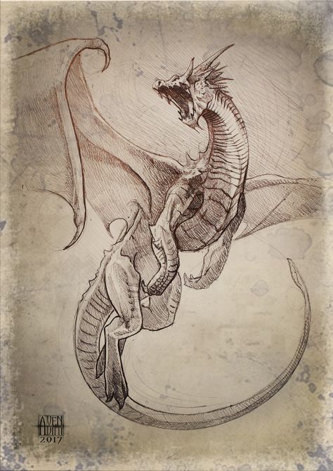 Easy Dragon Drawings, Realistic Dragon, Dragon Artwork Fantasy, Dragon Sketch, Dragon Tattoo Designs, Dragon Artwork, Mythical Creatures Art, Dragon Drawing, Fantasy Dragon