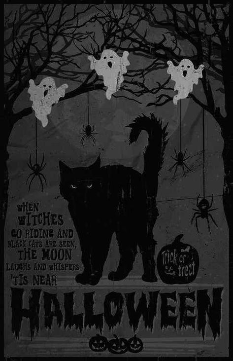 Halloween Black Cat Wallpaper, Hocus Pocus Cat, Black Cat Wallpaper, Black Cat Images, Vintage Halloween Art, Black Cat Aesthetic, Cat Collage, Halloween Wallpaper Backgrounds, Halloween Wallpaper Cute