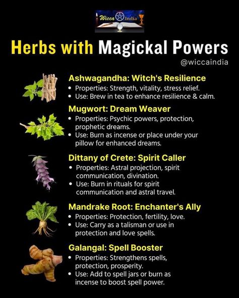 Glamour Magick Herbs, Protection Herbs Magick, Herbs Candles, Holistic Herbs, Magical Herbs Witchcraft, Witchcraft Practice, Knot Magic, Magick Herbs, Money Candle Spell