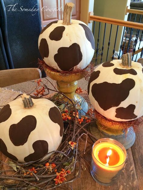 Brown Cow Pumpkin Painting, Cowprint Pumpkin Painting, Cowgirl Pumpkin, Pumpkin Carving Ideas Cowgirl, Cowgirl Pumpkin Painting, Highland Cow Pumpkin, Pumpkin Painting Ideas Farm Animals, Cow Print Pumpkin Painting, Cow Print Pumpkin