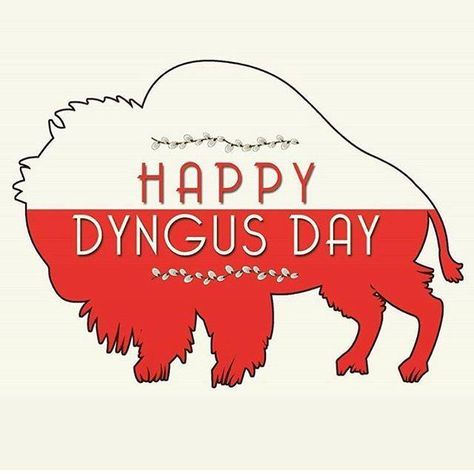 Dyngus Day, Polish Food, Polish Recipes, Funny Memes, Novelty Sign, Home Decor Decals, Memes, Funny