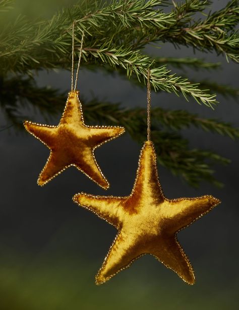 Cody Foster & Co Velvet 5-Point Star Ornament (Set of 2) – Lulu and Georgia Velvet Star Ornament, Mid Winter Christmas, Velvet Ornaments, Christmas Decs, Cody Foster, Dark Christmas, Christmas Birthday Party, Lulu And Georgia, 2023 Christmas