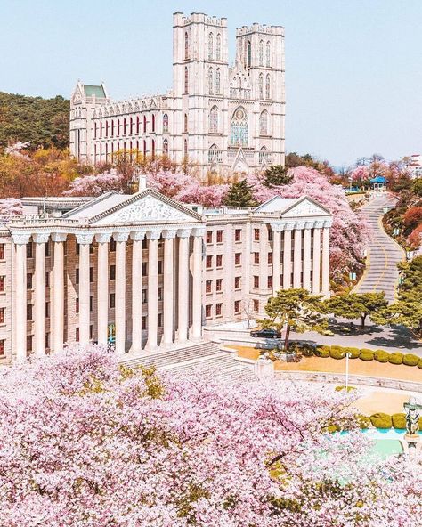 Kyung Hee University, Kyunghee University, Campus Aesthetic, Student Exchange, Seoul Cafe, Yonsei University, Best Universities, Korea University, Seoul Travel