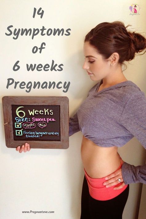 Just one week after those pink lines things change drastically. When you�re 6 weeks #pregnant, the #embryo is only a small rice grain. #Pregnancy hormones are going whacky welcoming the little one.  At the 6 weeks of pregnancy, some of you have just come Pregnant Picture, 9 Weeks Pregnant, 6 Weeks Pregnant, 13 Weeks Pregnant, 5 Weeks Pregnant, 12 Weeks Pregnant, Pregnancy Info, Happy Pregnancy, Ultrasound Pictures