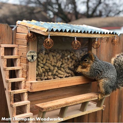 Squirrel Feeder Diy, Squirrel Appreciation Day, Build A Picnic Table, Squirrel Home, Squirrel Feeders, Squirrel Feeder, Diy Bird Feeder, Diy Birds, Bird Houses Diy