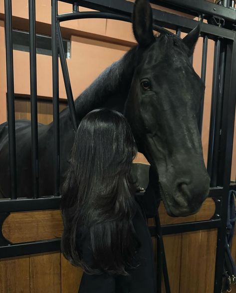 Hair For Horse Riding, Dark Equestrian Aesthetic, Cute Horse Pics, Luxury Equestrian Lifestyle, Horse Aesthetic Pictures, Black Horses Aesthetic, Dark Horse Aesthetic, Aesthetic Horse Pictures, Horse Stable Aesthetic