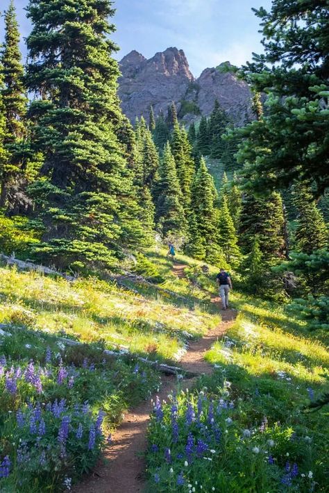 Mount Angeles, in the Hurricane Ridge area, is one of the best hikes in Olympic National Park. Here's how to do it. 2024 Aesthetic, Hiking Photography, North Cascades National Park, Nature Hikes, Inspiration Photos, North Cascades, Olympic National Park, Hiking Trail, Mountain Hiking