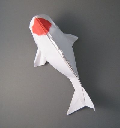 Simple Nice Koi Fish Origami - http://www.ikuzoorigami.com/simple-nice-koi-fish-origami/ Wet Origami, Koi Fish Tutorial, Advanced Origami, Koi Origami, Fish Origami, Origami Koi Fish, Origami Step By Step, Wet Paper, Origami Decoration