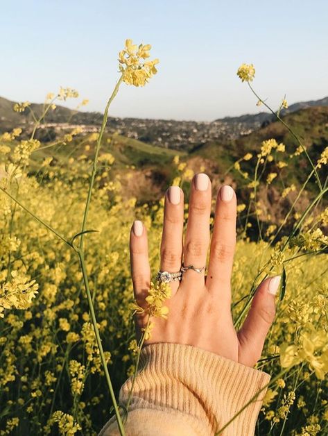 If I order some rings from Sami, I could display them like this Kristin Johns Wedding Ring, Kristin Johns, Hand Ring, You're Beautiful, Photojournalism, Jewelry Lover, Wedding Pictures, Pretty Pictures, Future Wedding