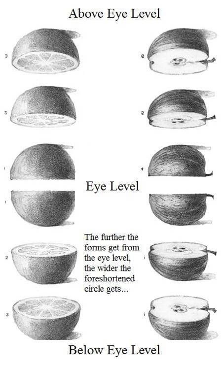 Drawing from above, below and at eye-level. Artistic perspectives, shown with graphite sketches. Learn to draw! Classe D'art, Art Handouts, Perspective Drawing Lessons, Art Basics, Art Worksheets, Perspective Art, Perspective Drawing, School Art Projects, Art Lesson Plans