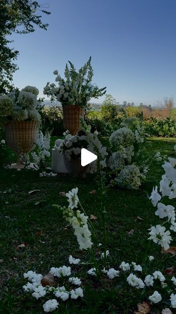 Pia & Jade | Stylists and Florists on Instagram: "GEORGIE & MARK 🥂

Florals, styling @piaandjade 
Venue @greyleigh.kiama 
Photo @hayleyrafton 
Video @sambattinfilms 
Bar @henryclivecaravanbar 
Stationery @samanthacollingcreativestudio 
Celebrant @reneemilthorpecivilcelebrant 
Couple @g_woods @mark_rattray 

#wedding #bride #modernwedding #sydneystylist #sydneyweddingflorist #flowerlovers #weddinginspo #weddingflorals #weddingflowers #weddingideas #summerwedding #springwedding #southcoastwedding #southcoaststylist #southcoastflorist #southernhighlands #southernhighlandswedding #underthefloralspell #instabloom #flowersofinstagram #love #wedding #weddingstylist #piaandjade #heyheyhellomay #thelane #voguebride #greyleigh #kiama" Greyleigh Kiama, Vogue Bride, Highland Wedding, Wedding Stylist, Coast Wedding, Love Wedding, Wedding Florist, Spring Wedding, Wedding Modern