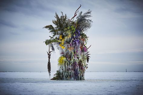 Makoto Aida, Azuma Makoto, Floral Therapy, Flower Ice, Open Flower, Bouquet Preservation, Flower Installation, Colossal Art, Ice Sculptures