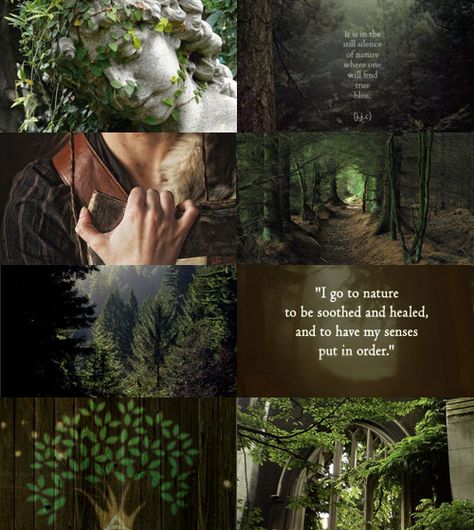 Oath of the Ancients Mood Board Dryad Aesthetic Male, Druid Astethic, Oath Of Ancients Paladin Aesthetic, Paladin Aesthetic Ancients, Druid Dnd Aesthetic, Archfey Aesthetic, Oath Of Ancients Paladin, Oath Of The Ancients Paladin, Marvel Rings