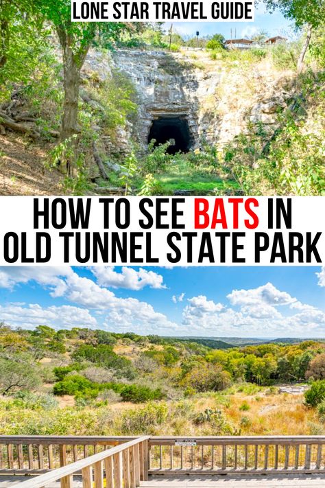 Here's how to enjoy the smallest state park in Texas! old tunnel state park bats | best things to do near fredericksburg | best state parks in central texas | things to do in texas hill country | where to see bats in texas | texas old tunnel state park | bat tunnel texas | bat tunnel close to fredericksburg | day trips from austin tx | day trips from san antonio tx | things to do close to fredericksburg | tx state parks | texas state parks | old train tunnel in texas | texas bat colonies Texas Culture, Things To Do In Texas, Traveling Usa, Hiking In Texas, Train Tunnel, Texas State Parks, Honduras Travel, Texas Things, Travel Texas