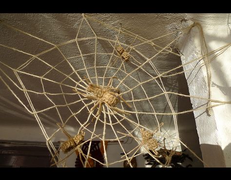 Macrame Spider Web Macrame Spider Web, Macrame Spider, Boho Crafts, Free Macrame Patterns, Weaving Patterns, Macrame Patterns, Hocus Pocus, Spiders, Spider Web