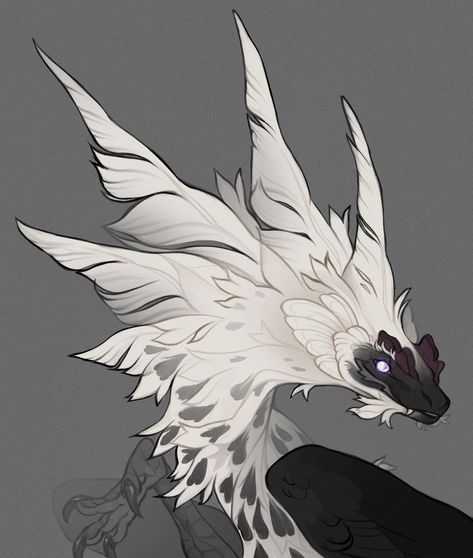 Feather Drawing Reference, Feather Ears Drawing, Feather Wings Reference, Feathered Creature Design, Feathered Wyvern, Feathered Wyvern Art, How To Draw Ears, Feather Drawing, Feathered Hairstyles