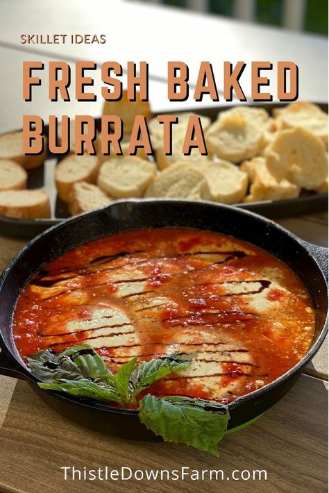 Buratta Recipe, Baked Burrata, Burrata Recipe, Cheese Recipes Appetizers, Pizza Recipes Homemade, Pasta Dinners, Cheese Dishes, Wine Night, Cheese Appetizers