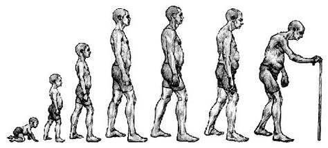 Human Lifespans Nearly Constant for 2,000 Years (and an explaination on our fuzzy math) http://www.livescience.com/10569-human-lifespans-constant-2-000-years.html Life Symbol Tattoo, Life Goes On Tattoo, Human Growth And Development, Child Psychologist, Change Picture, Tree Of Life Tattoo, Weird Tattoos, Bad Posture, Cycle Of Life