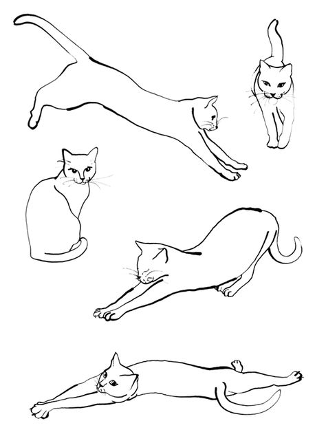 different cat postures Cat Illustration Tattoo, Cat Chasing Mouse Drawing, Cat Leaping Drawing, Cats Illustration Drawing, Cat Side Profile Drawing, Cat Stretching Drawing, Cat Walking Drawing, Cat Laying Down Drawing, Cat Sitting Drawing