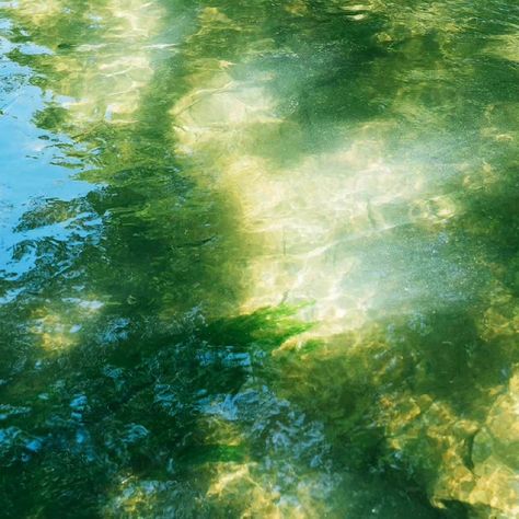 Spring Water Aesthetic, Light Through Water, Yellowish Green Aesthetic, Dreamy Green Aesthetic, Green Ethereal Aesthetic, Green Grass Aesthetic, Phone Aesthetic Homescreen, Android Phone Aesthetic, Lockscreen Layout