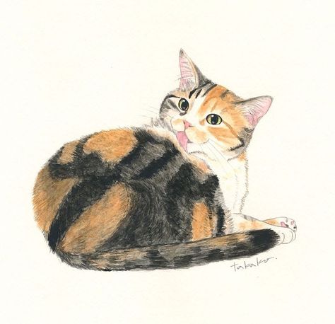 Learn Watercolor Painting, Cat Art Illustration, Cute Cat Drawing, Watercolor Cat, Cat Posters, Cats Illustration, Calico Cat, Cat Painting, Cat Illustration