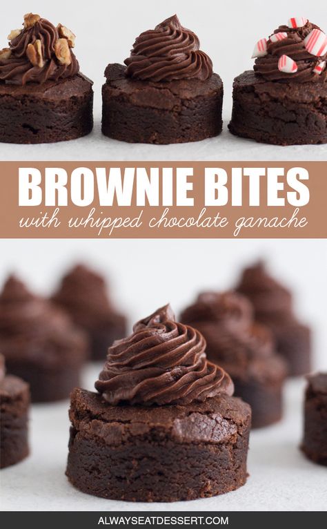 Homemade brownie bites topped with whipped chocolate ganache are a crowd-pleasing dessert for any party! These elevated mini brownies are baked from scratch and taste 10,000 times better than store bought brownie bites. Sprinkle them with extra toppings - like crushed peppermint candy canes or chopped pecans - for an easy and customizable chocolate dessert. #browniebites #chocolatebrownies #chocolate #chocolateganache #minidesserts Mini Chocolate Desserts, Brownie Bites Recipe, Whipped Chocolate Ganache, Crushed Peppermint, Homemade Brownie, Cookie Cups Recipe, Mini Brownies, Easy Chocolate Desserts, Fudgy Brownie