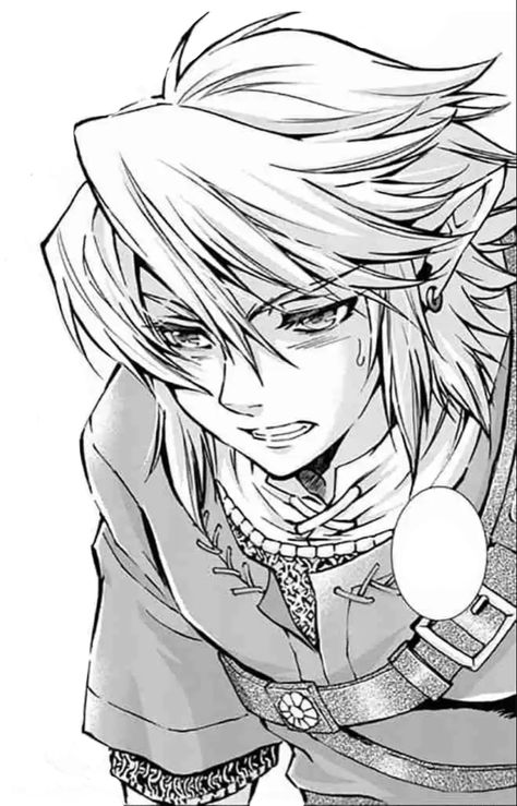 Legend Of Zelda Manga, Loz Link, Akira Himekawa, Link Twilight Princess, Link Botw, Y2k Pfp, Zelda Twilight Princess, Link Art, Link Zelda