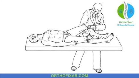 Anterior Drawer Test of the Knee Femoral Nerve, Hip Mobility Exercises, Anterior Cruciate Ligament, Spine Pain, Ligament Tear, Acl Tear, Lumbar Spine, Ligament Injury, Cruciate Ligament