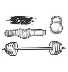 Set isolated gym equipment sketch Royalty Free Vector Image Gym Equipment Drawing, Powerlifting, Bodybuilder, Waist Belt, Free Vector Images, Weight Lifting, No Equipment Workout, Aesthetic Anime, Png Images