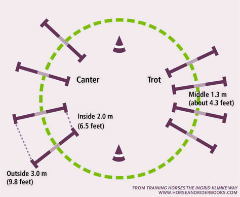 Pista para entrenamiento Horse Jumping Exercises, Riding Ideas, Cv Website, Dressage Exercises, Horse Training Exercises, Horse Lessons, Dressage Training, Show Jumping Horses, Horse Exercises