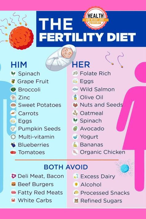 FERTILITY DIET Fertility Diet For Men, Diet For Men, Fertility Nutrition, Diets For Men, Pregnancy Help, Fertility Foods, Healthy Pregnancy Tips, Fertility Health, Fertility Diet